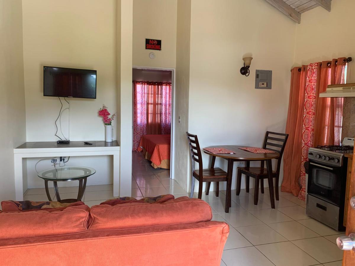 St. John's Connie'S Comfort Suites المظهر الخارجي الصورة