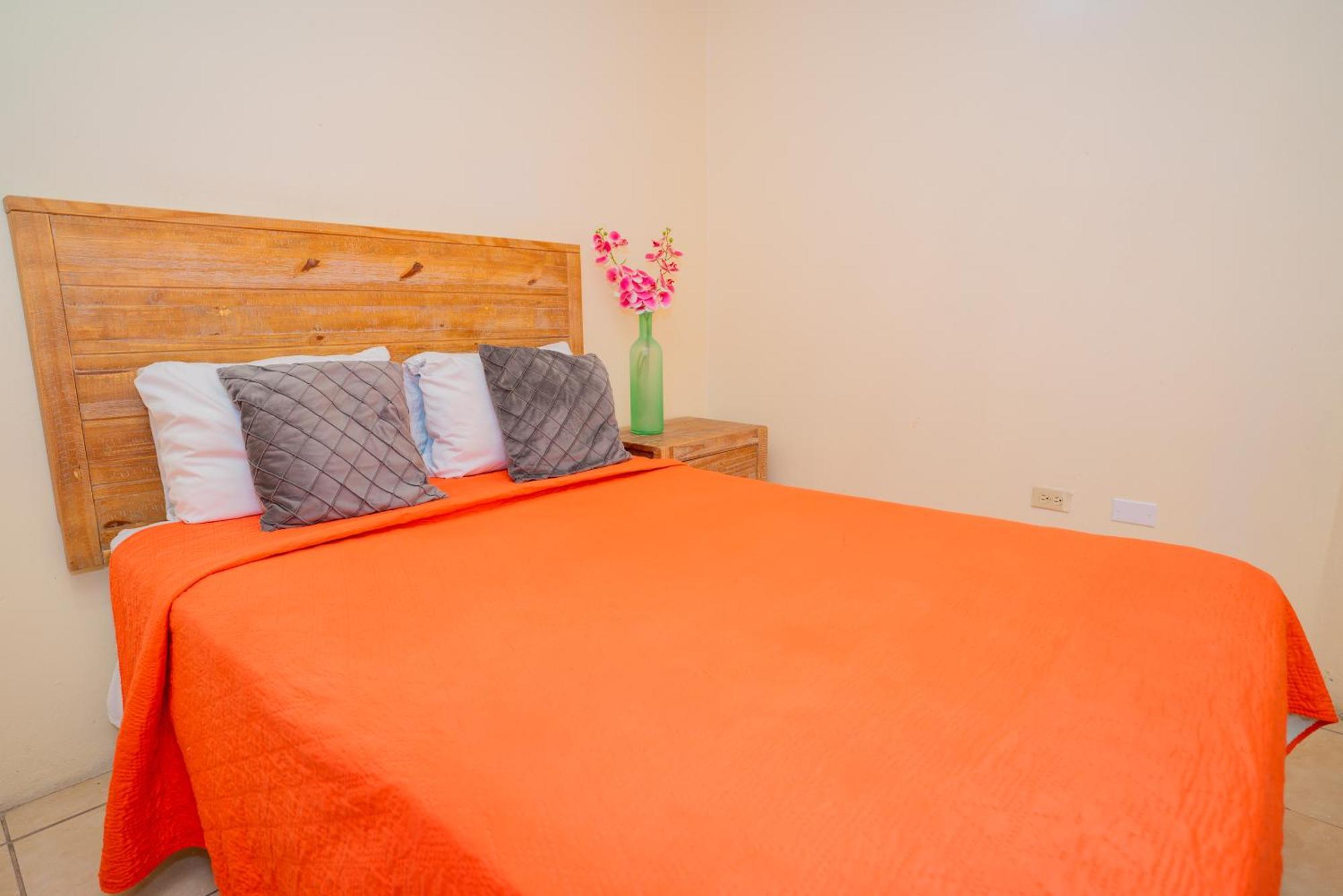 St. John's Connie'S Comfort Suites المظهر الخارجي الصورة